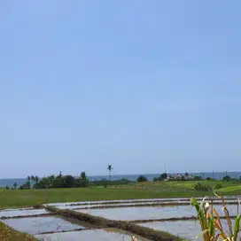 Tanah di pantai beraban Selemadeg tabanan