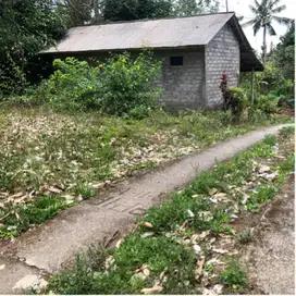 Kebun Los sungai view sawah & tebing cocok untuk Villa