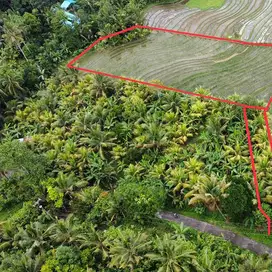 di Jual Tanah dekat exit tol antosari