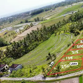 Tanah kavling murah di tabanan bali
