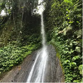 Kebun View cantik di Bali jarang ada