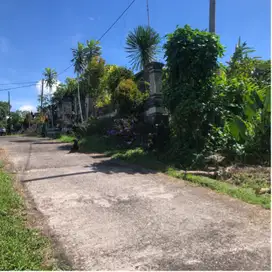 Tanah murah dekat pantai