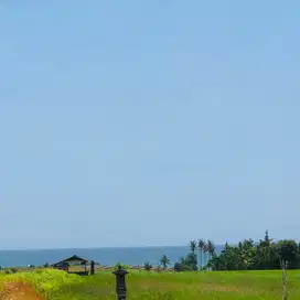 Di jual tanah dekat pantai berada di komplek villa