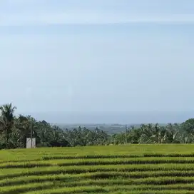 Tanah dengan view sawah gunung Dan laut cocok untuk Rumah tinggal
