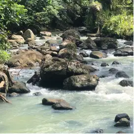 Tanah langsung sungai view sawah