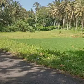 Tanah kebun view sawah langsung sungai kawasan elit