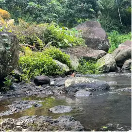 Di jual tanah dengan view sungai dan jungle di tabanan