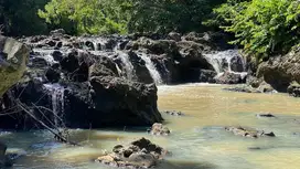 Tanah dekat pantai los sungai view sawah dan jungle di tabanan