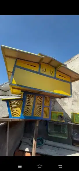 Kandang doro baru disurabaya wa