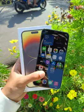 IPhone Xs Max 256