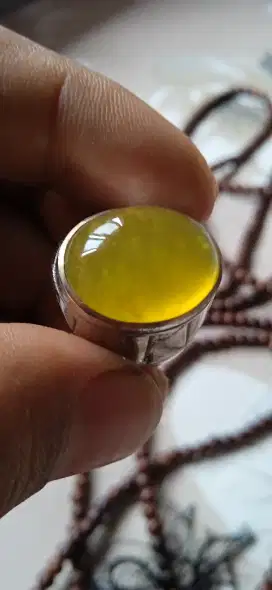 Serpentine bio solar