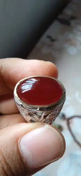 Red Raflesia Size kantoran