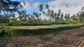 DIJUAL TANAH DI TEGALALANG UBUD