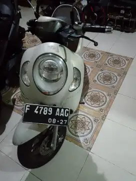 Scoopy 2022, motor greess
