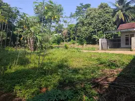 Tanah dijual dekat kampus IPB Drama