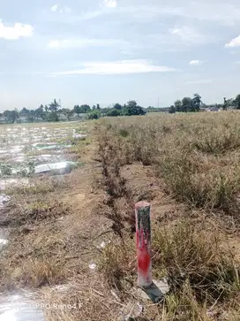 Tanah di jl Naga sakti Panam masuk jl maruf sakti 60x60m Skgr, PKU