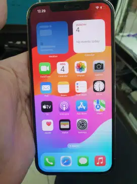 Iphone 12 pro max 128gb bh80 minus face id off. Unit carger siyal aman