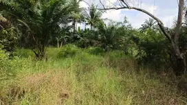 Dijual Murah Tanah 5.232 m² – untuk Kavling di Air Joman, Asahan