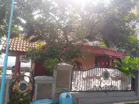 Dijual Rumah di Kali pancur, Ngalian