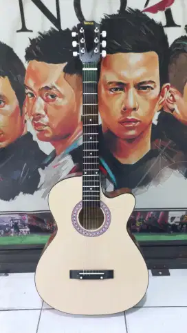 Gitar g225 string
