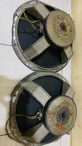 speker scorpion 15in minus gasruk