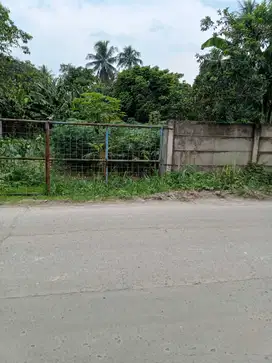 Jual Tanah Lt.2470 di Jln. Raya Gn. Maloko Cisauk Tangerang Liu
