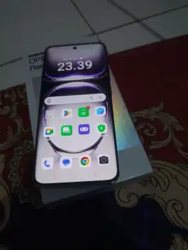Oppo reno 12 5g 256gb grey hape casan