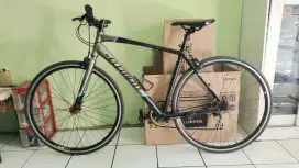 Sepeda Road Bike Element FRC 38