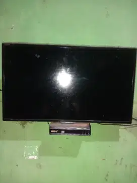 Tv sharp 24 Inc