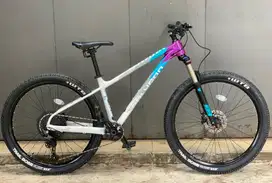 Polygon Xtrada 7 2024