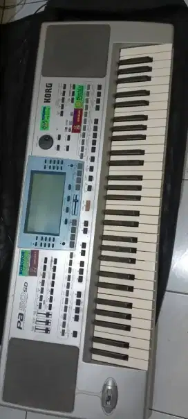 KORG pa50sd keyboard organ