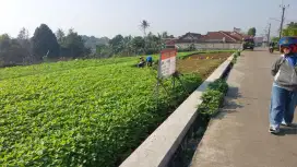 Tanah  1200 m persegi strategis pinggir jalan dan lokasi sudah ramai