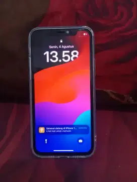 iPhone 11 pro 256 gb