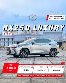 [ KM 12RB ]Lexus NX250 Luxury Non Hybrid 2023 Non Nx350H Fsport Rx350H
