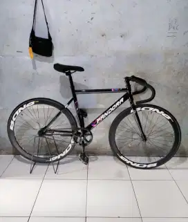 Sepeda Fixie Pandora