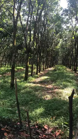 Tanah Industri 57 Ha, Cempaka, Purwakarta