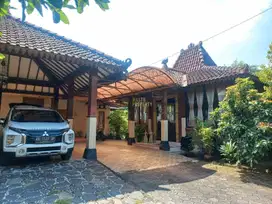 HOMESTAY 7 KAMAR, HALAMAN RUMAH LUAS DI PLERET BANTUL