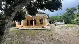 SUPER MURAH! Rumah Siap Huni + Tanah Luas di Pleret, Bantul