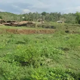 Tanah Luas 31250m Lokasi Strategis Cocok Untuk Perumahan