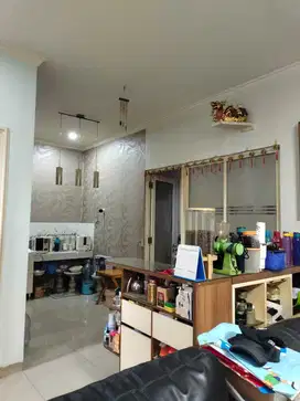 Rumah Dijual di The Springs, Cluster Flamingo – Gading Serpong, 2 Lant