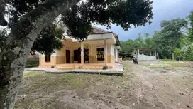 RUMAH TANAH LUAS, DI DEKAT SATE PAK PONG, DI SLEMAN