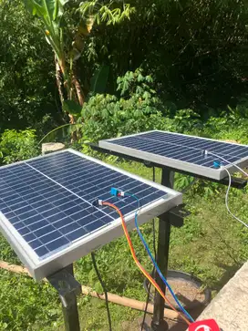 Panel Surya Sankelux 20wp