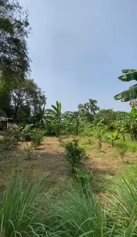 Tanah Strategis Untuk Komersial Industri Mainroad Cikarang Bekasi