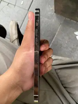 Iphone 13 Promax 128