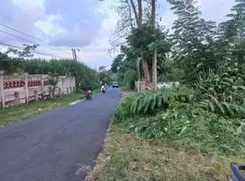 Tanah Strategis Dekat Alun-Alun Hanya 65 Jutaan