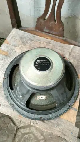 Speaker national 12inch dll