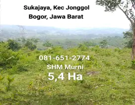 Tanah di Sukajaya Jonggol Bogor