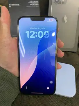 iPhone 13 Pro Max 256GB ex inter Dual Sim ex inter IMEI terdaftar