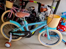 Sepeda Anak Sepeda CTB CENTRUM 18 Inch