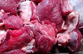 Daging kambing segar